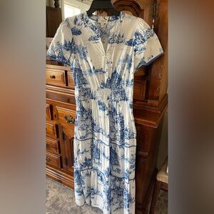 Umgee Blue and White Scenic Print Dress